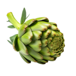 Artichoke
