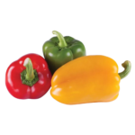 Bell pepper