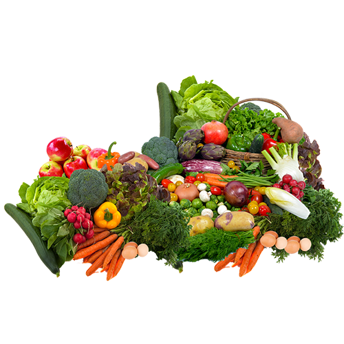 Europe Trade Trend mission is simple yet profound: to deliver freshness, sustainability, and excellence in every product we provide. We achieve this by forging strong partnerships with trusted global producers, ensuring every item meets the highest standards of quality and safety.